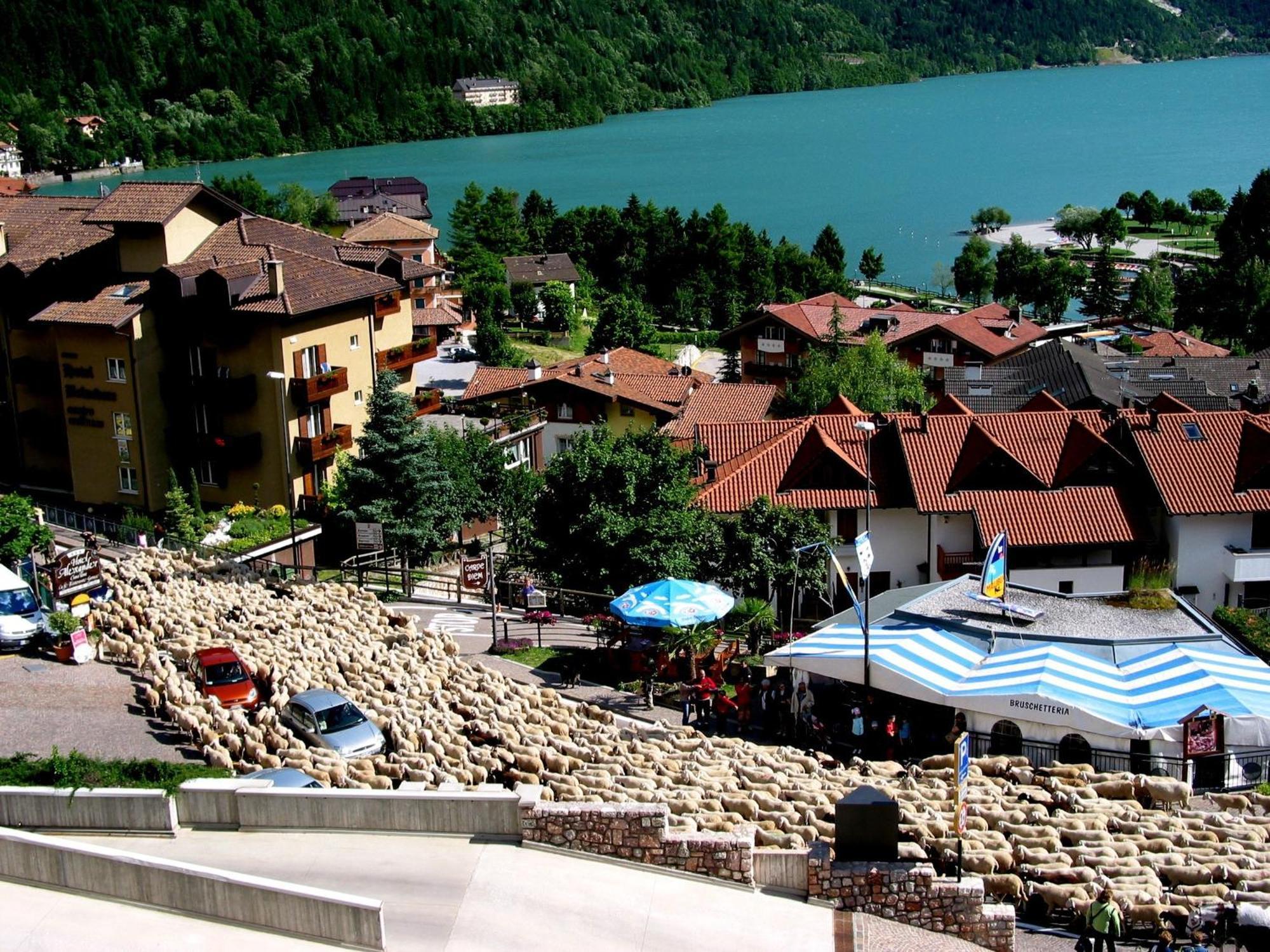 Albergo Stella Alpina Molveno Exterior photo